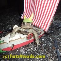 /home//u458753944/public_html/sourcegallery///////////////////////////////Roxborough Toad Detour/2013-2019/2018/2018-02-21/P2210055.JPG